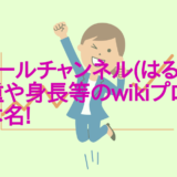 カモミールチャンネル(はるぴょん)の体重や身長等のwikiプロフ!年齢や本名!