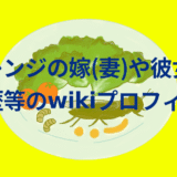 飯島レンジの嫁(妻)や彼女!年齢や経歴等のwikiプロフィール!