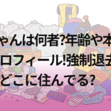 最強ちゃんは何者?年齢や本名等のwikiプロフィール!強制退去後の現在はどこに住んでる?