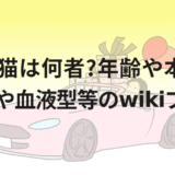 あま猫は何者?年齢や本名!身長や血液型等のwikiプロフ!