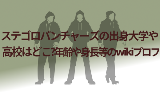 ステゴロパンチャーズの出身大学や高校はどこ?年齢や身長等のwikiプロフ!