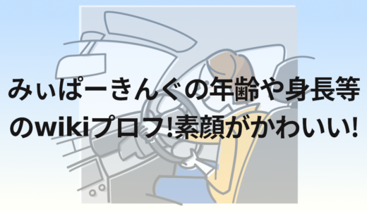 みぃぱーきんぐの年齢や身長等のwikiプロフ!素顔がかわいい!