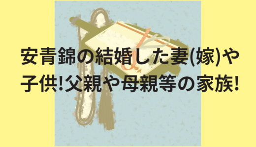 安青錦の結婚した妻(嫁)や子供!父親や母親等の家族!